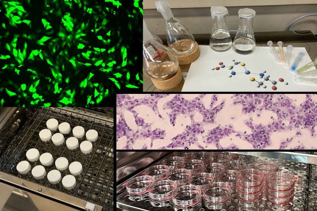 摂南大学薬学部公式HP/Setsunan Pharm Official