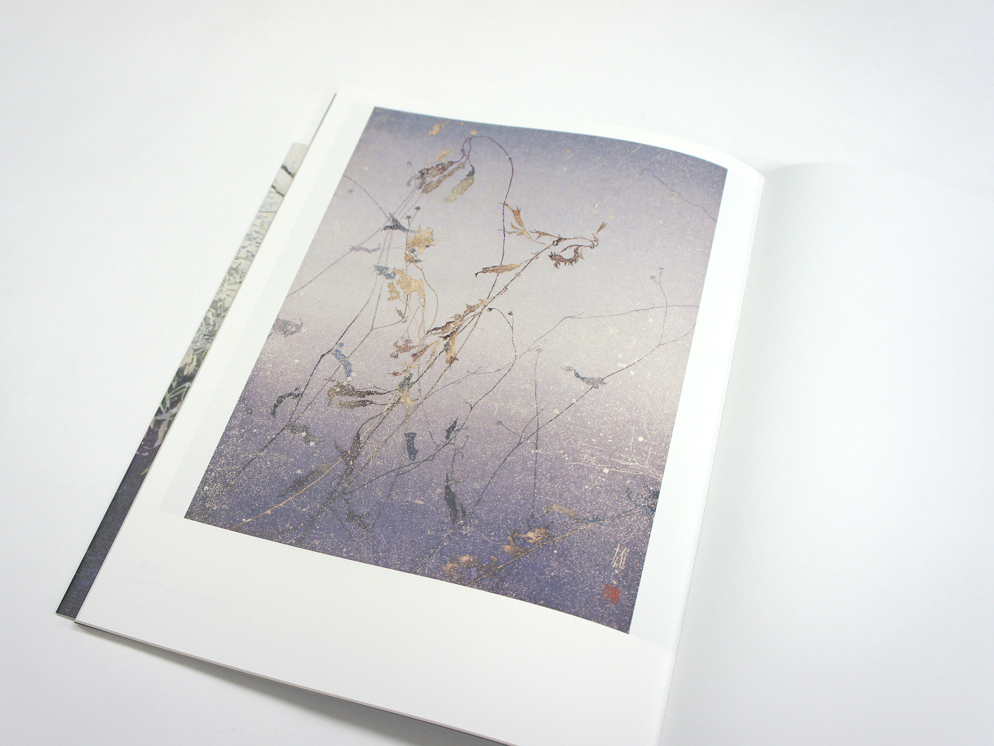 手塚雄二作品集 光を聴き、風を視る｜青幻舎 SEIGENSHA Art Publishing