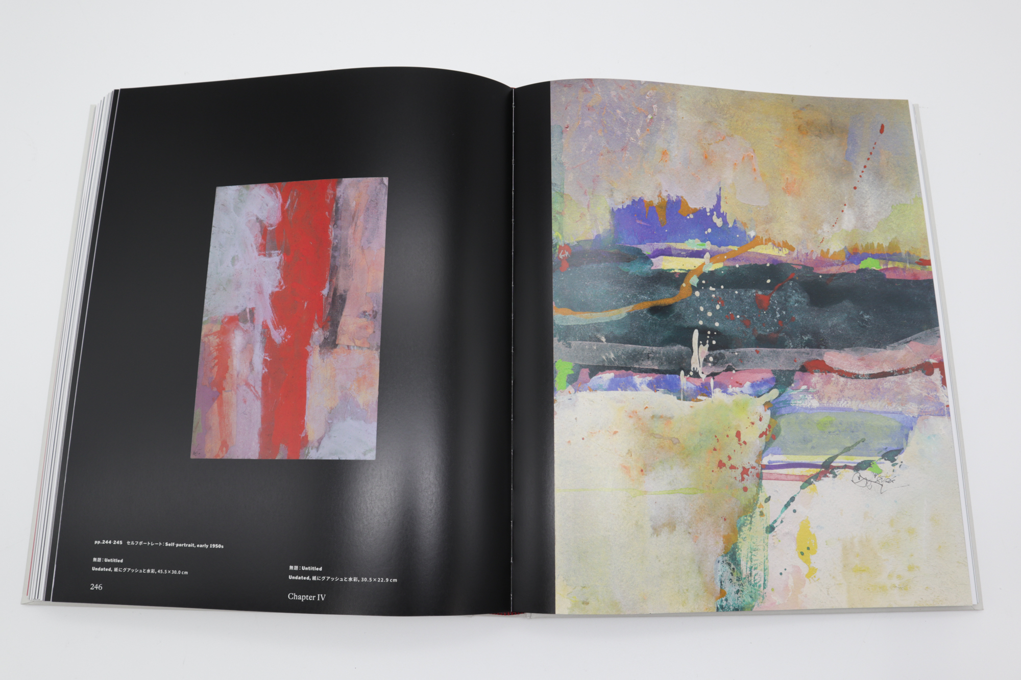 ソール・ライター Saul Leiter The Centennial Retrospective｜青幻舎