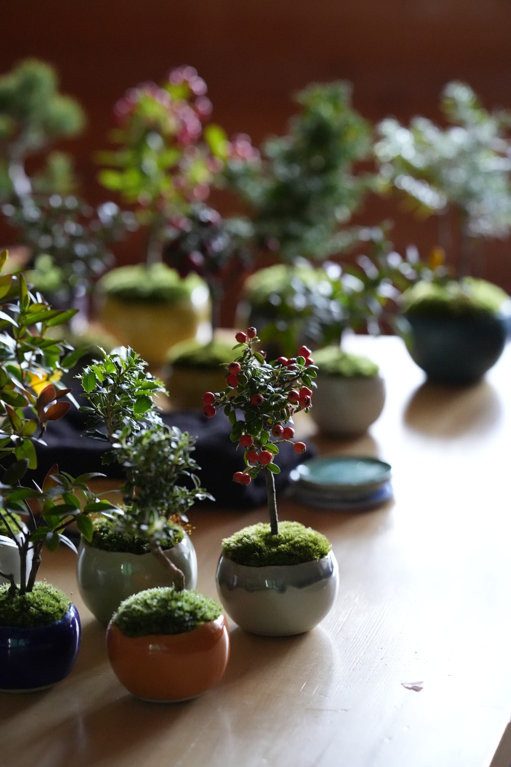 カネイリスタンダードストア エスパル仙台「秋の石木花フェア