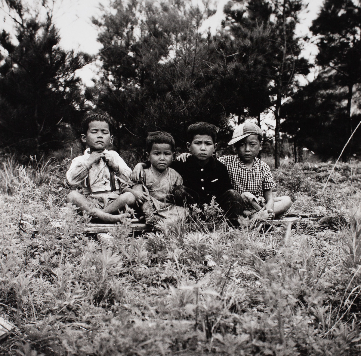 写大ギャラリー