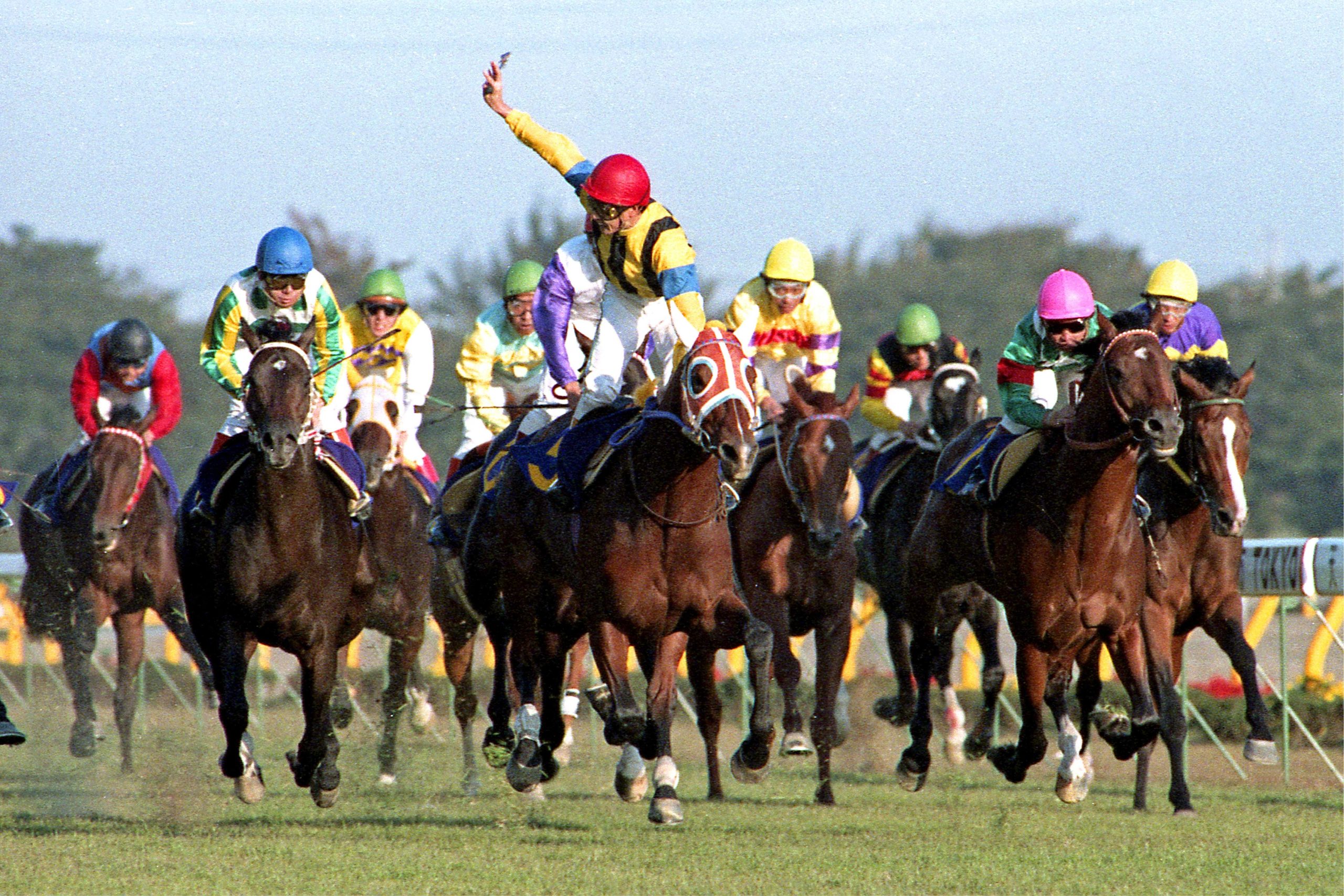 Shadai Thoroughbred Club 社台サラブレッドクラブ