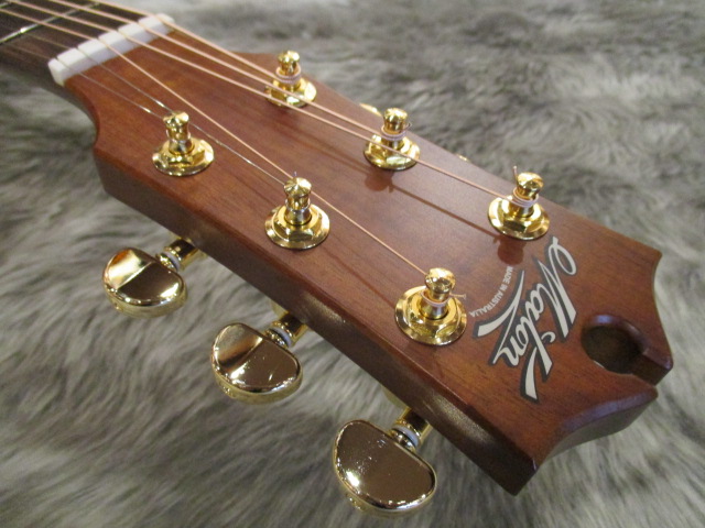 秦基博シグネチャーモデル、Maton EBG808MH入荷！｜島村楽器