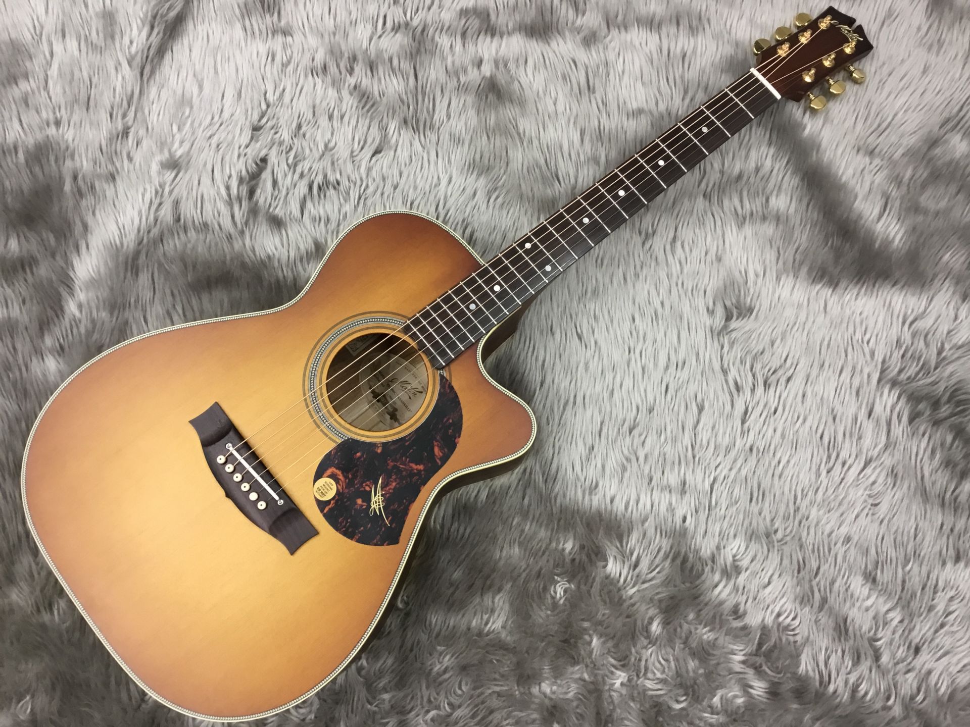 アコースティックギター】MATON/EBG808C-NASHVILLE/再入荷しました