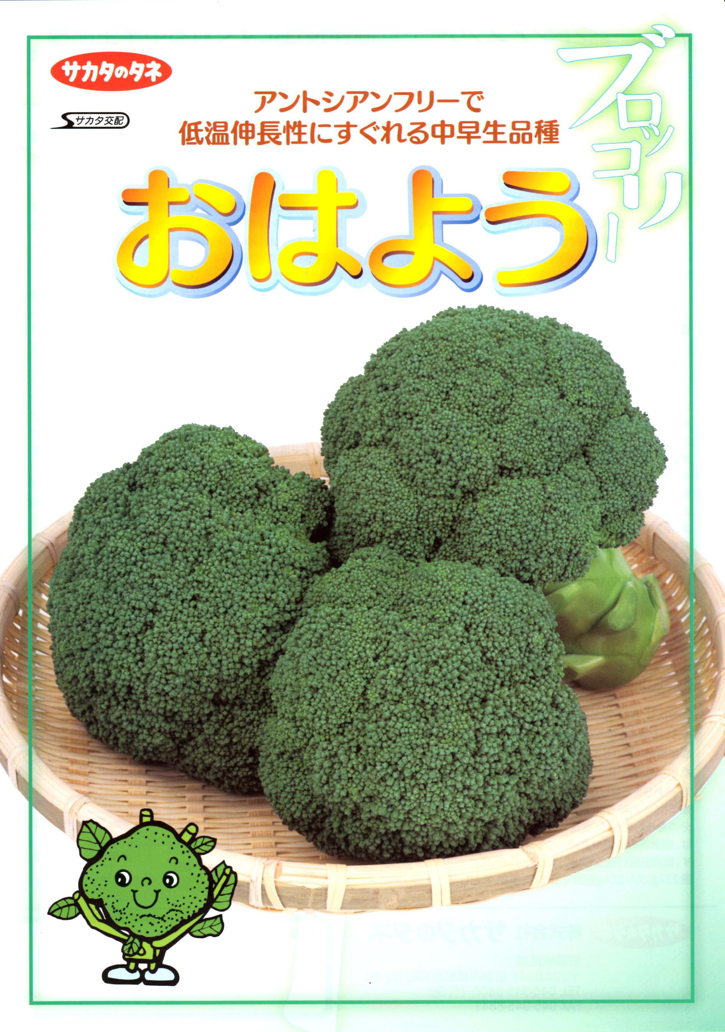 ブロッコリー種子】 サカタ交配 「おはよう」 ☆オリジナル小袋あり