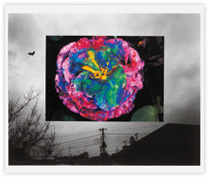 荒木経惟『遺作 空2』