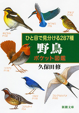 ひと目で見分ける287種 野鳥ポケット図鑑』 久保田修 | 新潮社