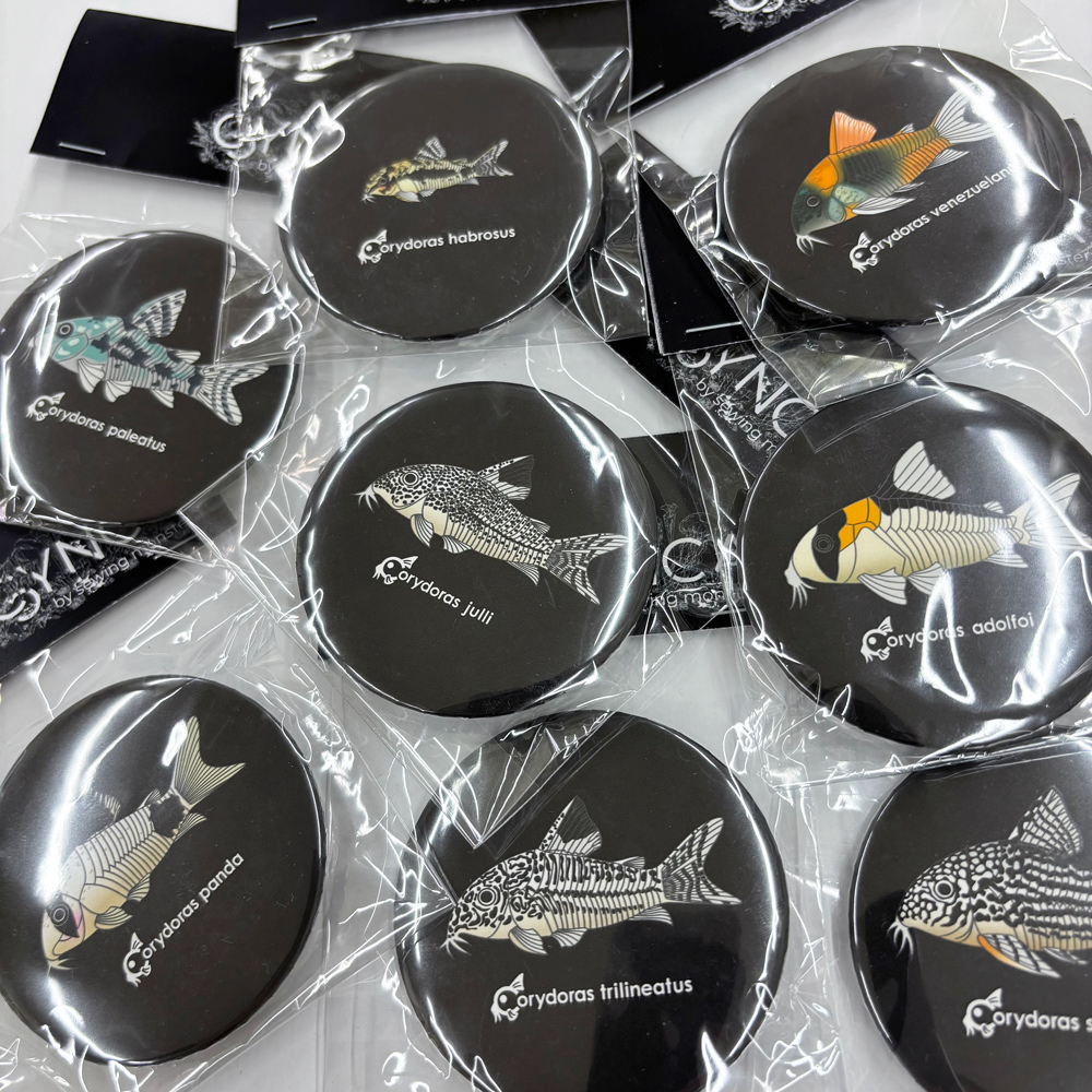 CYNCA スタンダード缶バッジ コリドラス選べる3個セット - 白川ネーム店