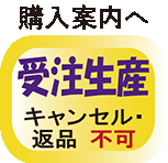 書籍紹介＞ 解析学序説 上巻（新版）［POD版］（一松 信 著）【数学】