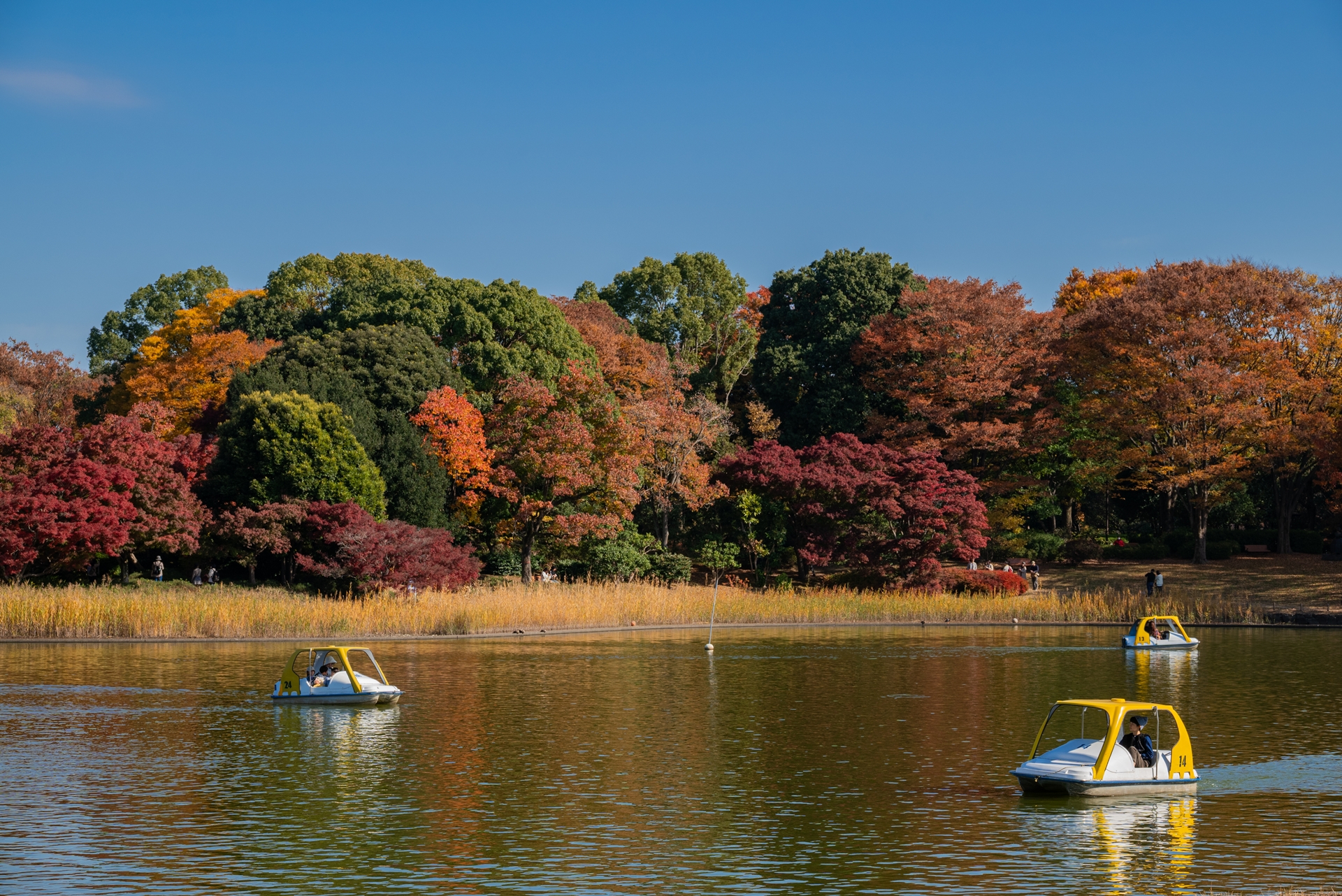 ボートハウス – 国営昭和記念公園公式ホームページ