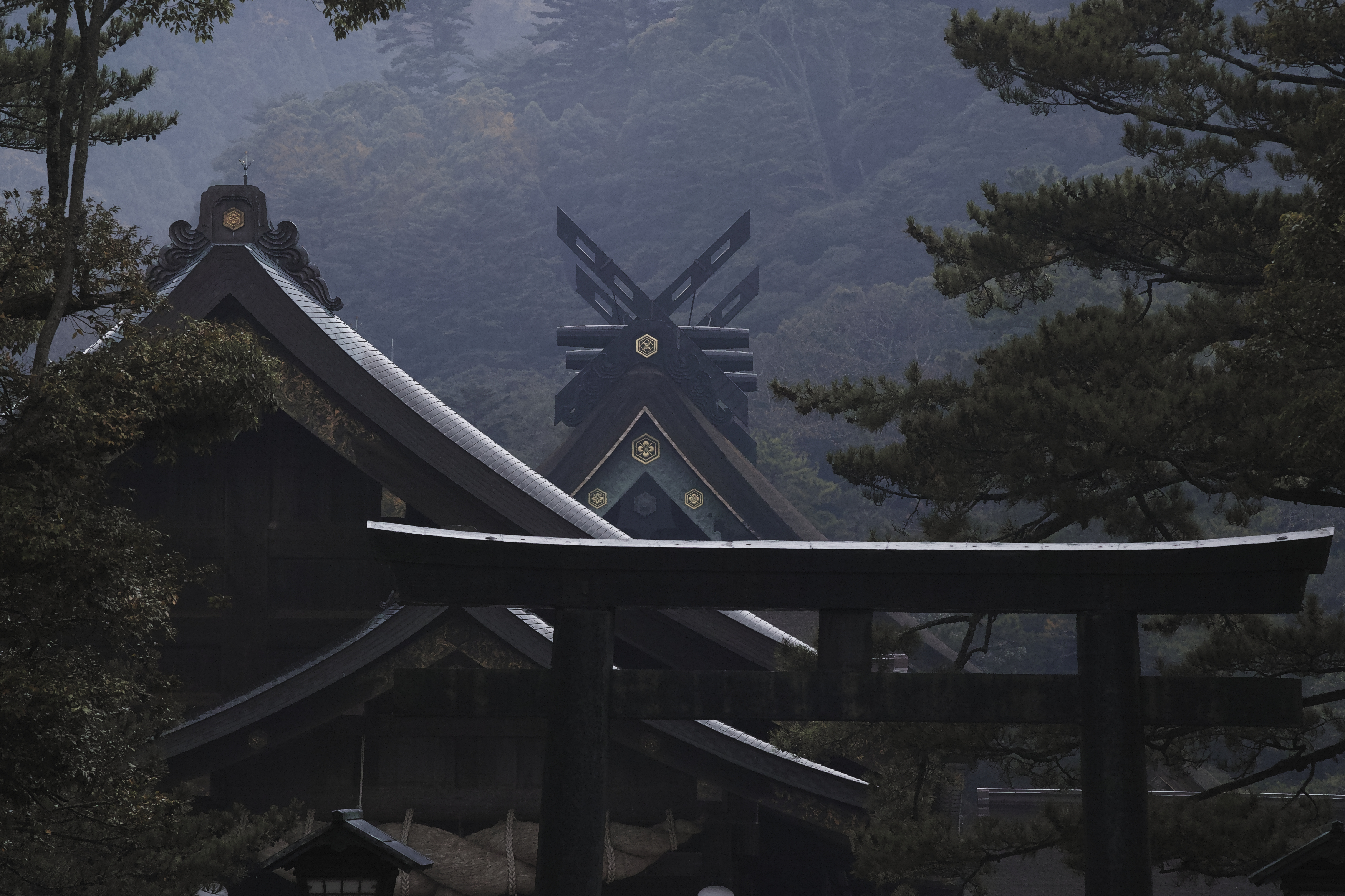 A4☆318【天照大御神】雲海を照らす金耀【風景画】【神聖画】 318【天