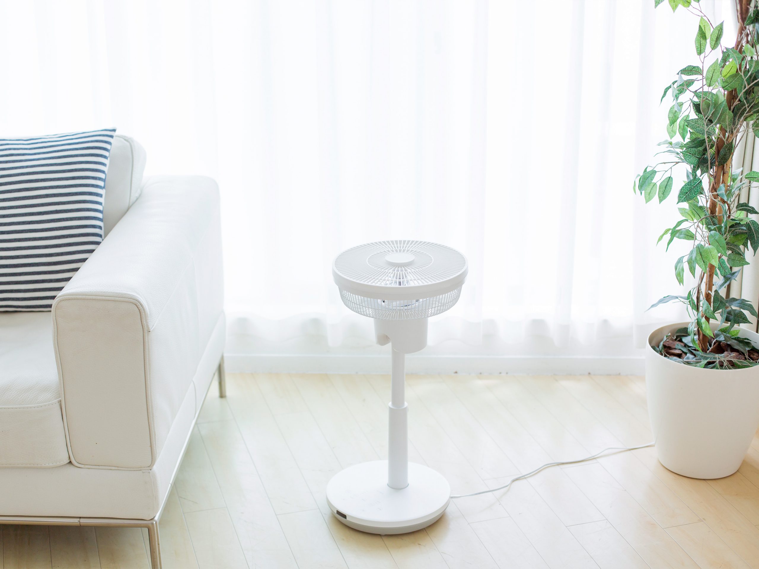 DC サーキュレーター扇風機｜シロカ