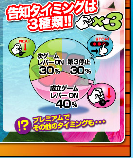 サンサンオアシス キュイーンVer. 基本仕様