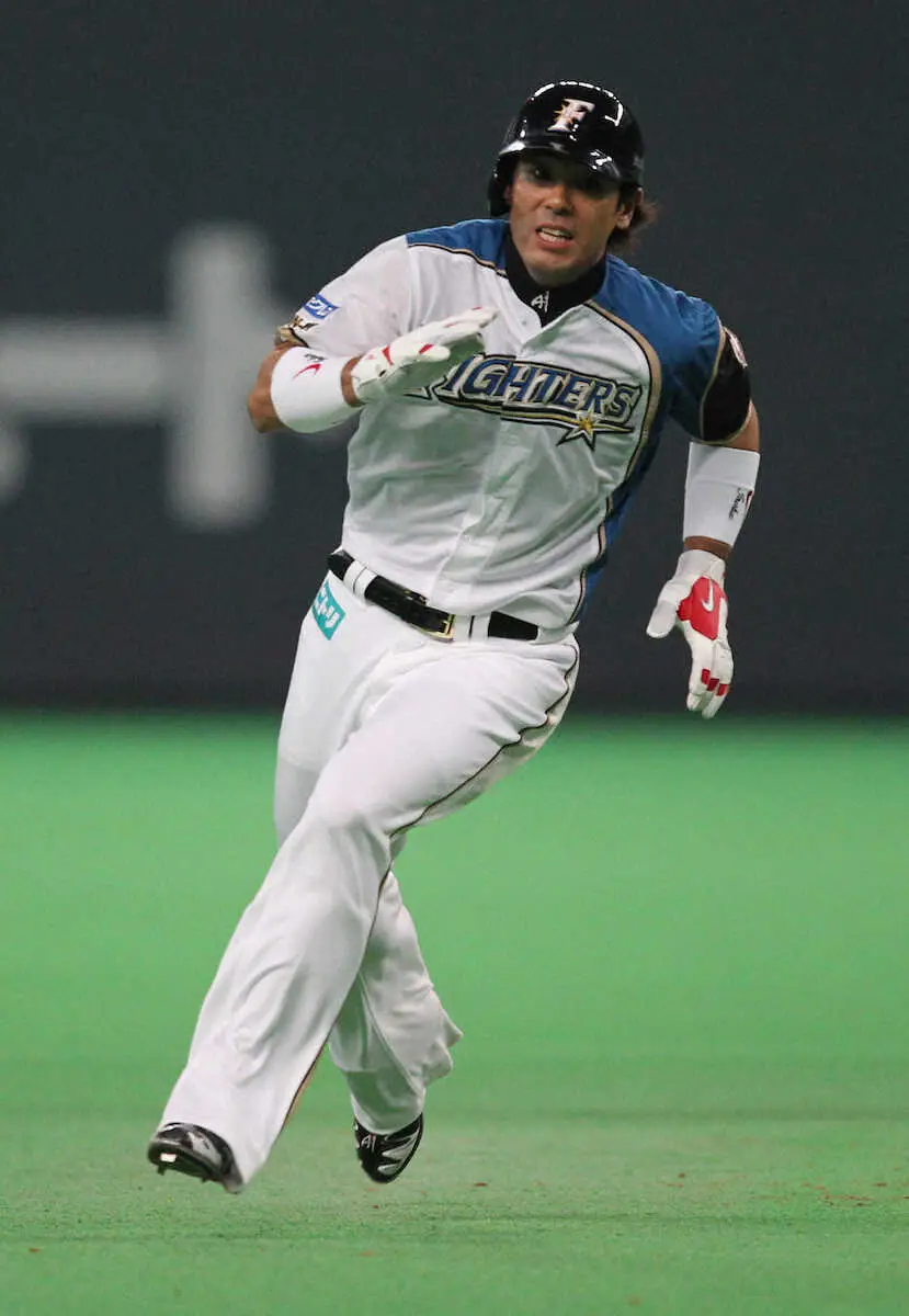 日本ハム・稲葉篤紀 - スポニチ Sponichi Annex 野球