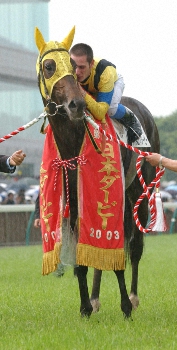 ネオユニヴァース 種付け中事故死…03年に皐月賞、ダービーのクラシック