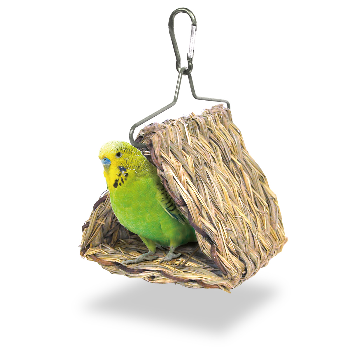 misen2014さま】antique bird ❀ ゼンマイ仕掛けの小鳥さん misen2014