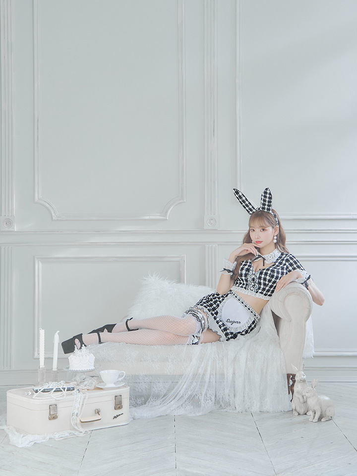 SALE!!】【即日発送】【ハロウィン】 ツイードバニーメイド