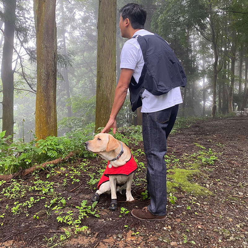 BROWN by 2-tacs(ブラウンバイツータックス)Seed it 商品詳細｜sunny