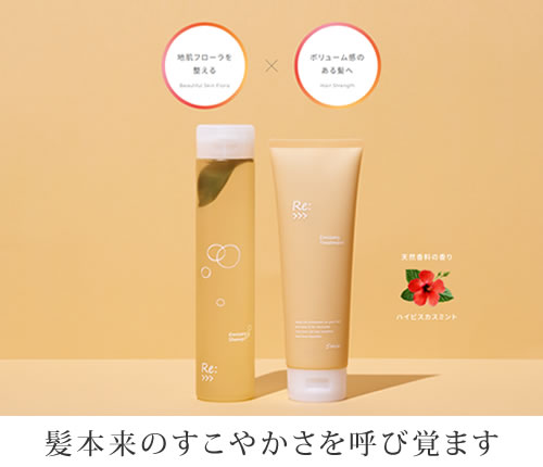 リ：エミサリー シャンプー 詰替用エコパック 600ml【リニューアル