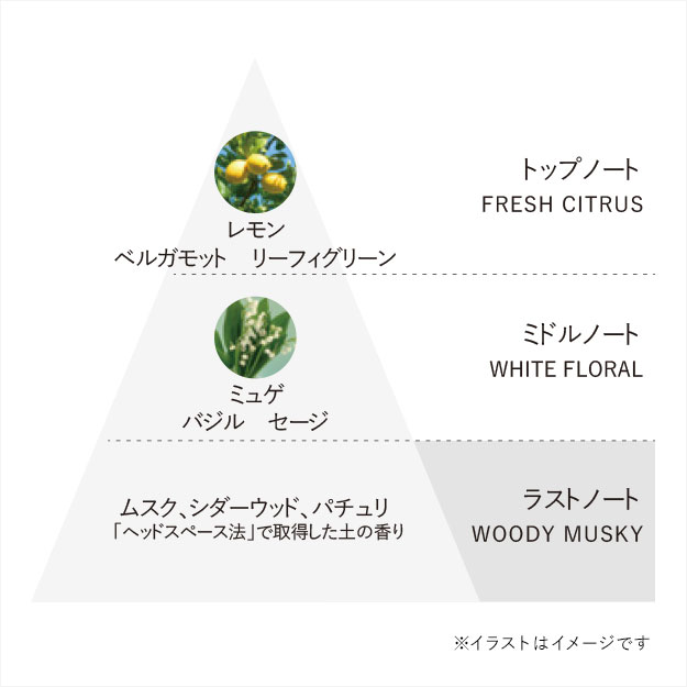 B.A グランラグゼ Ⅳ | ポーラ公式 エイジングケアと美白・化粧品