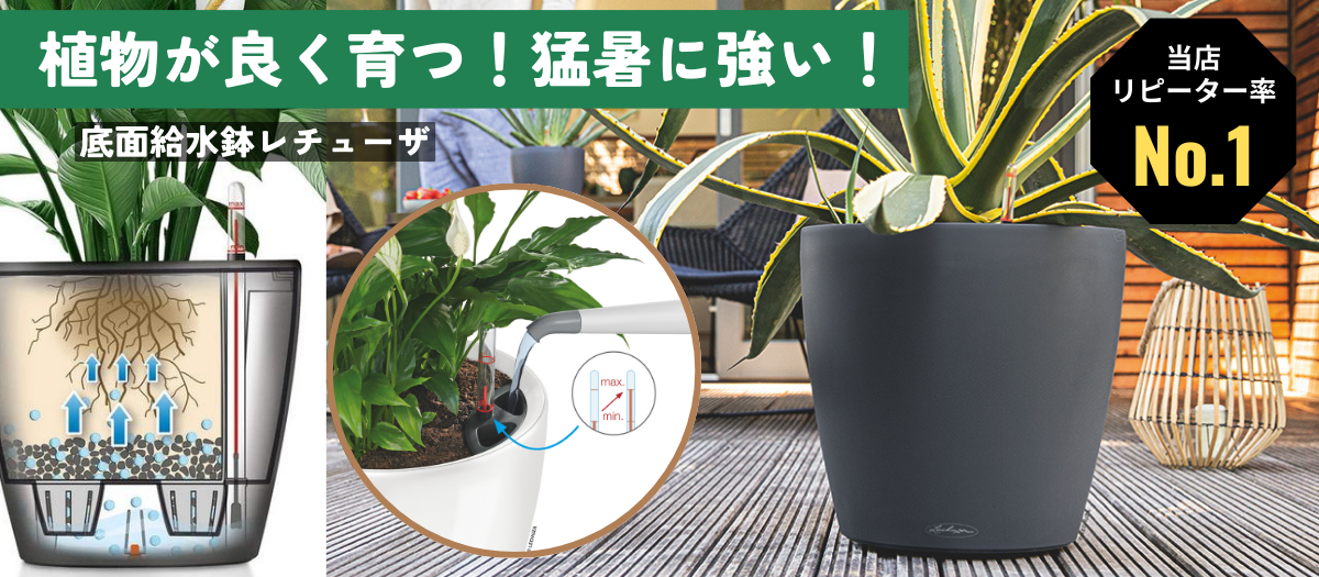 Planter Pro Shop プランタープロショップ｜レチューザ・植木鉢