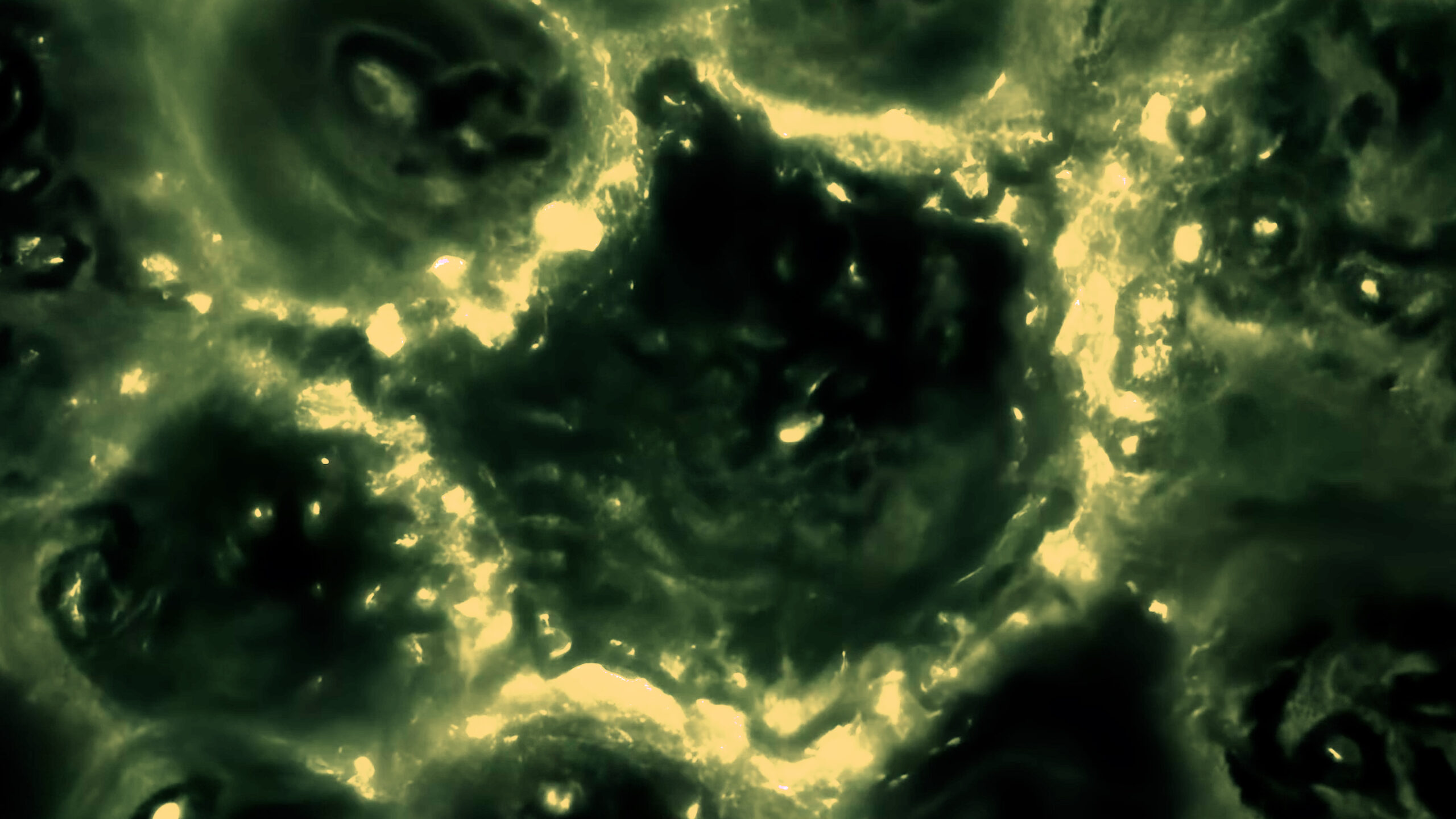 Cells Use 'Bioelectricity' To Coordinate and Make Group Decisions