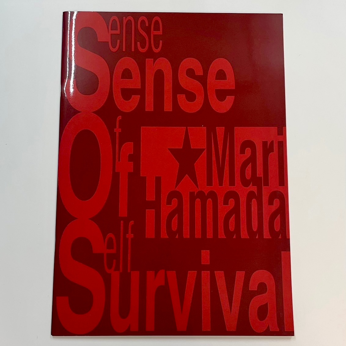 浜田麻里 2003年ツアーパンフレット Sense Of Survival | 音楽資料専門