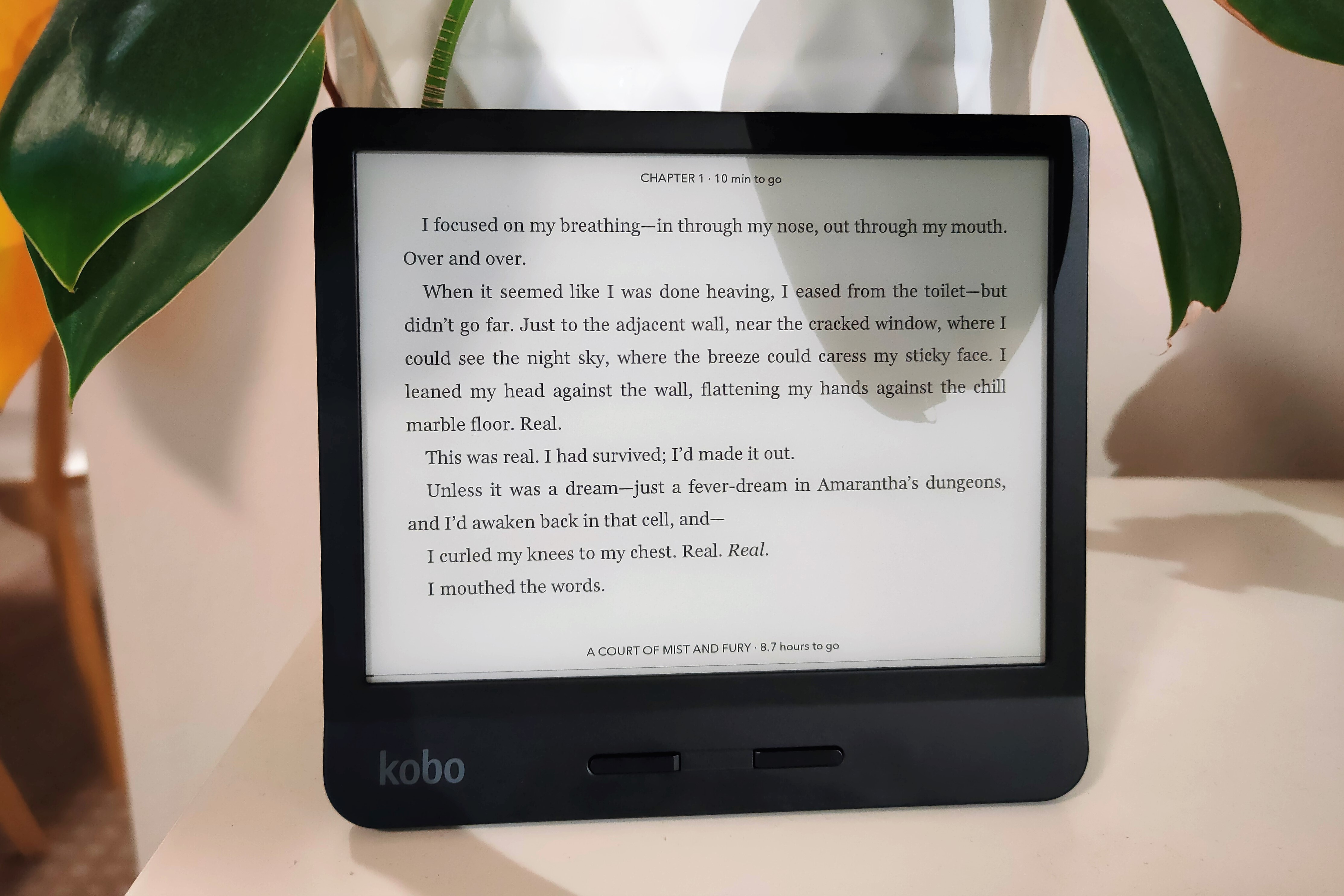 Kobo Libra H2O review: The best value ereader around | Reviews.org