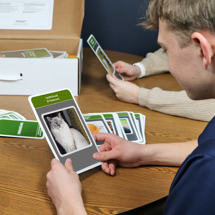 Cat Kit - Realityworks