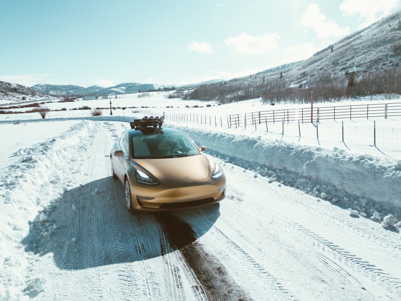 シーサッカー クラシック スキーラック SeaSucker