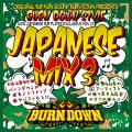 Burn Down - Burn Down Style Japanese Mix: 100% All Dub Plate