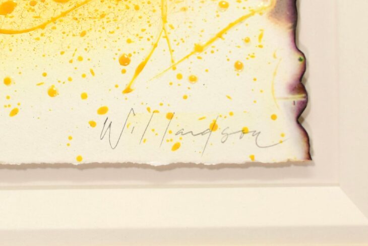 デビッド・ウィラードソン作 オリジナル原画 「NUMBER 13 RE-DUCKS(MM