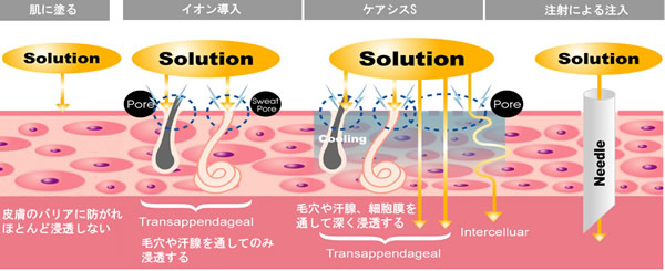 美容外科・美容皮膚科・形成外科 共立美容外科仙台院