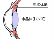 家庭用検査器機 “OPUS-F”｜製品情報｜眼科医療機器ワック（眼精疲労