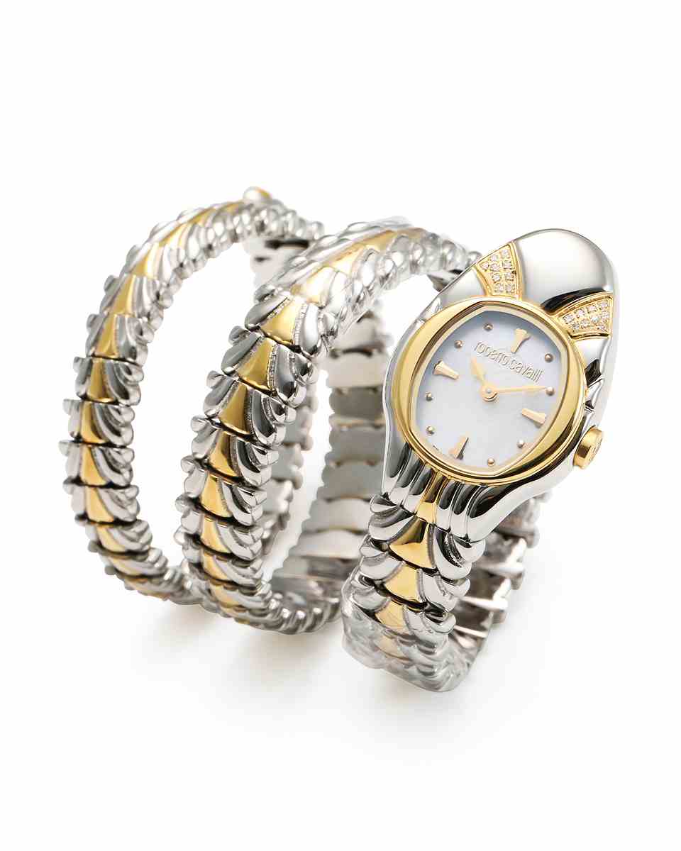 ロベルトカヴァリ バイ フランクミュラー RV1L114L0021 | WATCH WORLD