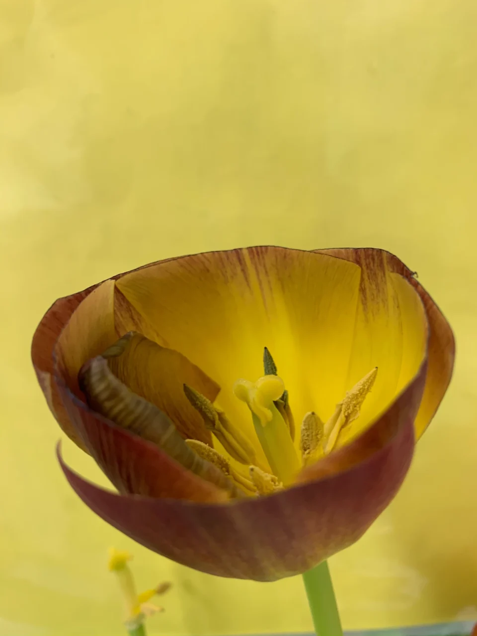 ヴォルフガング・ティルマンス | How does it feel? | Exhibitions