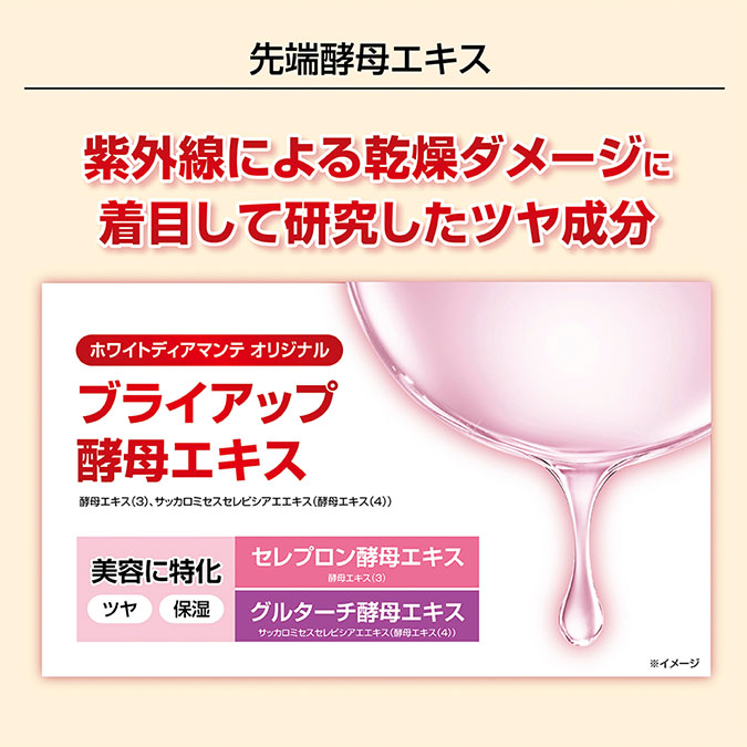 フォースファクトセラム｜輝き・ハリ弾力の化粧品は、及川尚輔