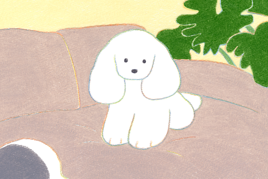 てらおかなつみ たくさんの犬展 | タッチアンドフロー｜TOUCH & FLOW