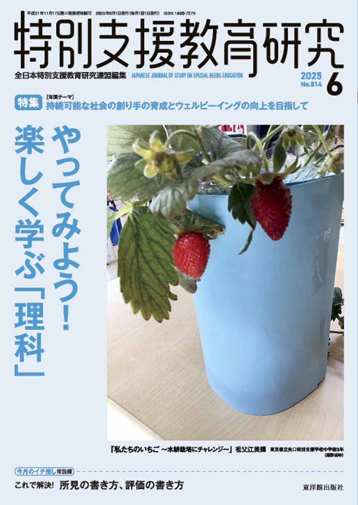 月刊 特別支援教育研究2025年6月号 – 東洋館出版社