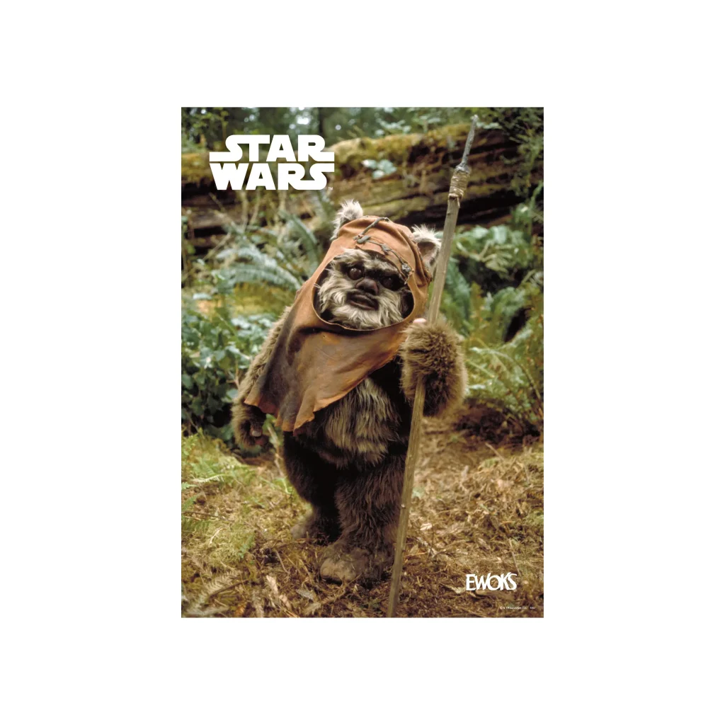 Happyくじ / STAR WARS™『EWOKS』 - おもちゃのリサイクルショップ