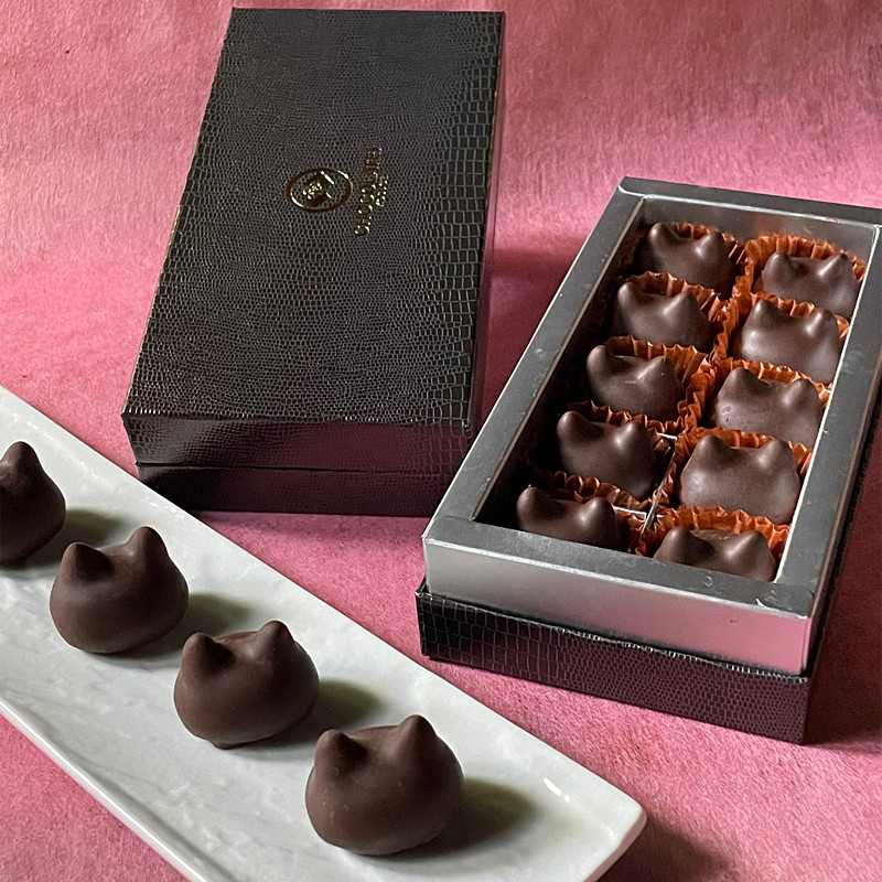 チョコ♡ 様 専用 専用 チョコ様専用 ちょこ様 チョコ ちょこ様専用