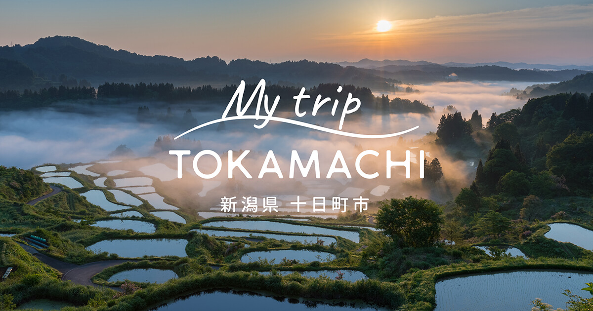 メディア情報】King & Prince 髙橋海人さんらがアートな十日町巡り