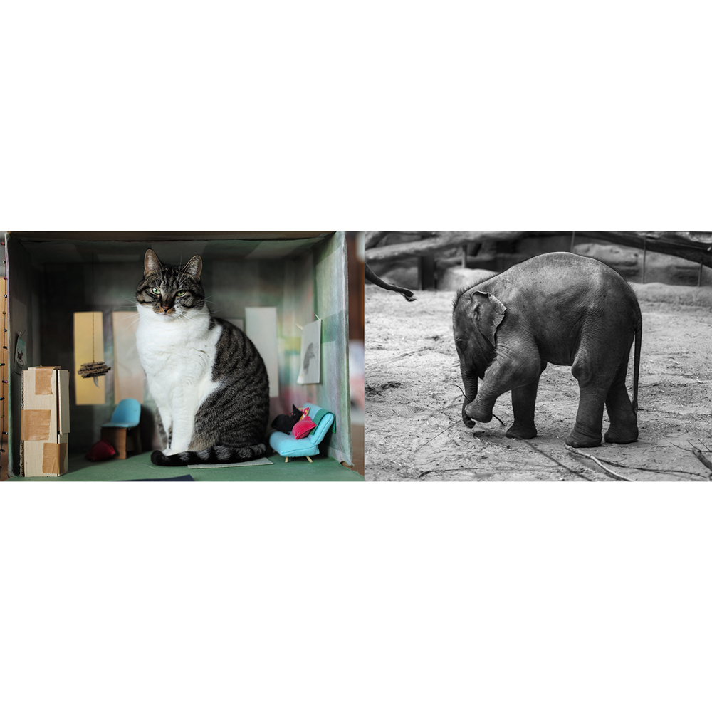 Tomio Koyama Gallery 小山登美夫ギャラリー – Page 64 – Tomio Koyama