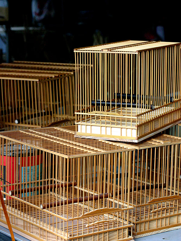 鳥かご メジロ籠 象牙調留具 竹 黒柿 二個セット 鳥かご メジロ籠 象牙