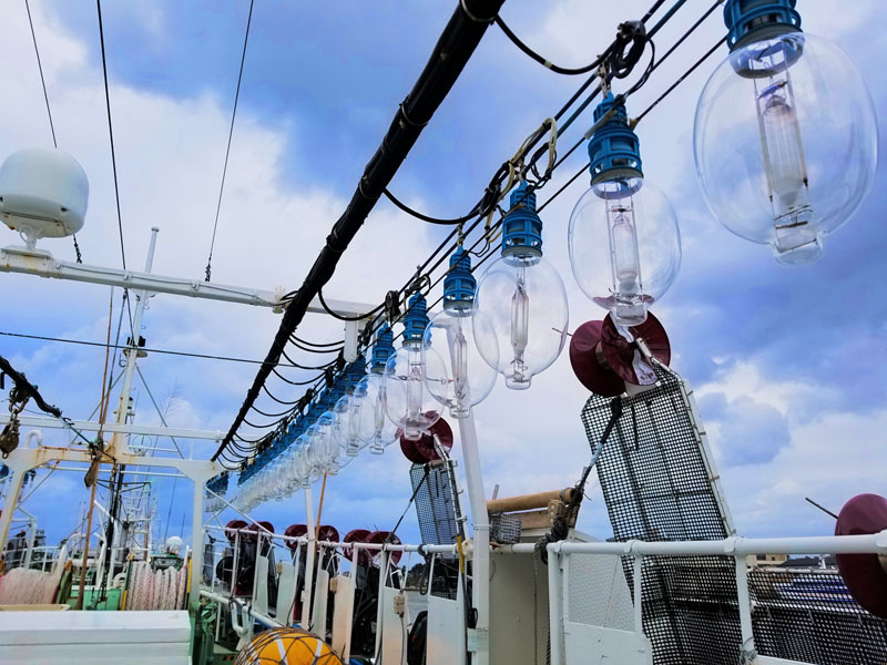 メタルハライド船上集魚灯 | 拓洋理研