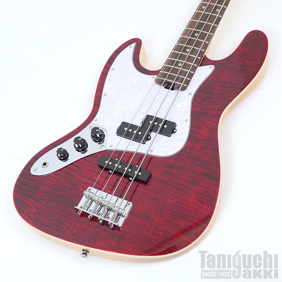 Aria ProII STB-AE200 (SR) 入門セット付【レフトハンド/左利き用