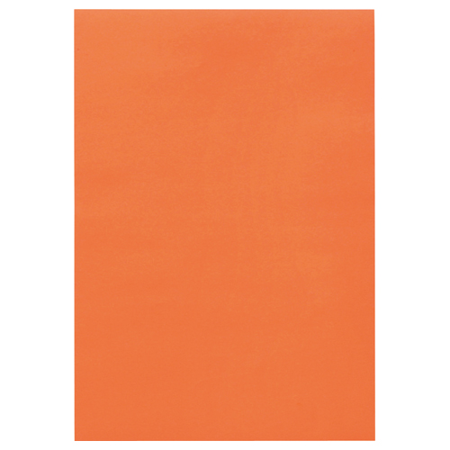 たのめーる】トーヨー 色画用紙 B4 10色 106103 1冊(28枚)の通販