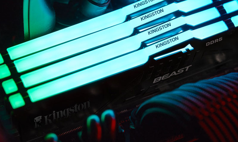 Kingston Beast RGB 32GB (2x16GB) DDR5 6000MHZ CL36 Siyah Ram
