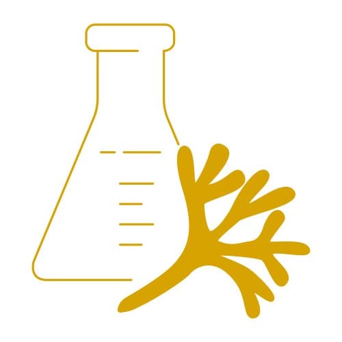 Mineral Booster - Thalion