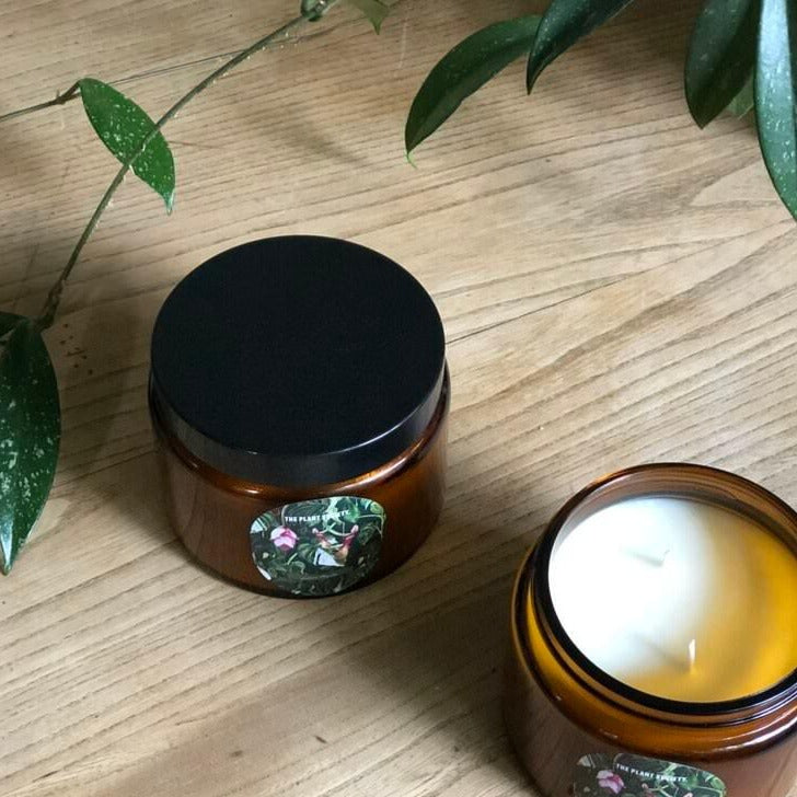 Botanical Candle by The Plant Society ボタニカルキャンドル – THE